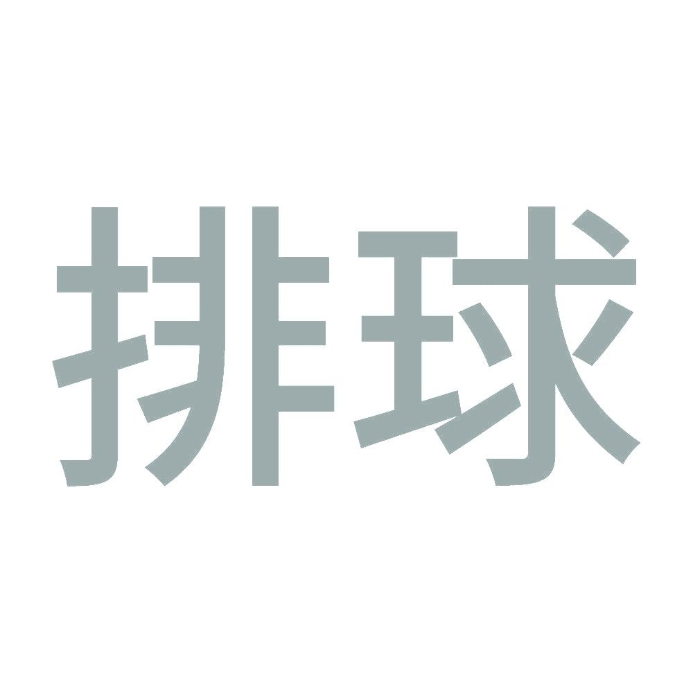 排球 10