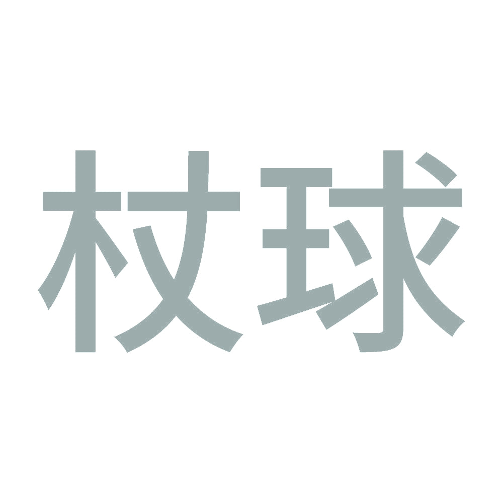 杖球 10