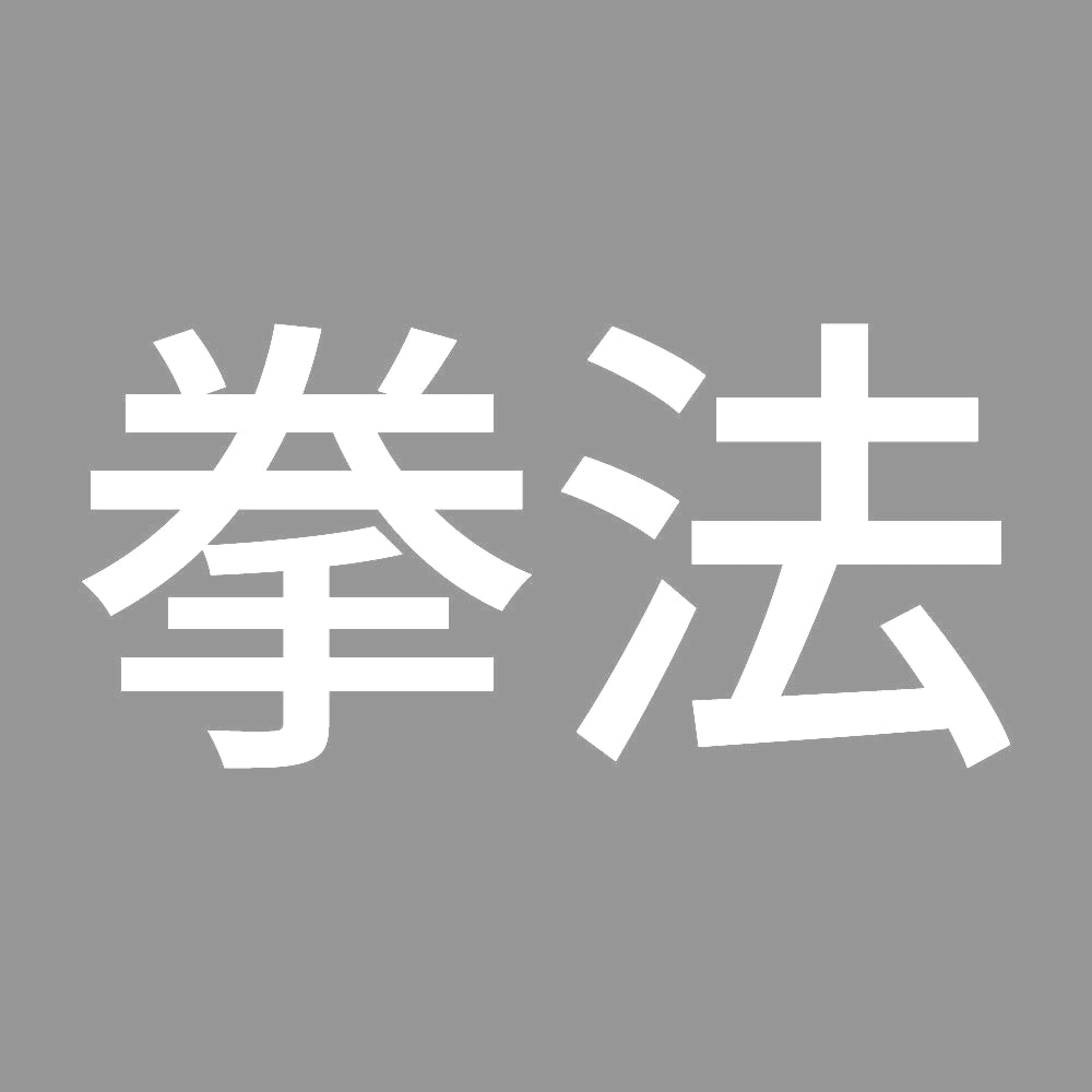 拳法 7