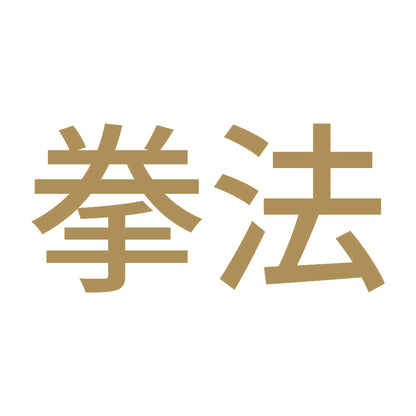 拳法 9