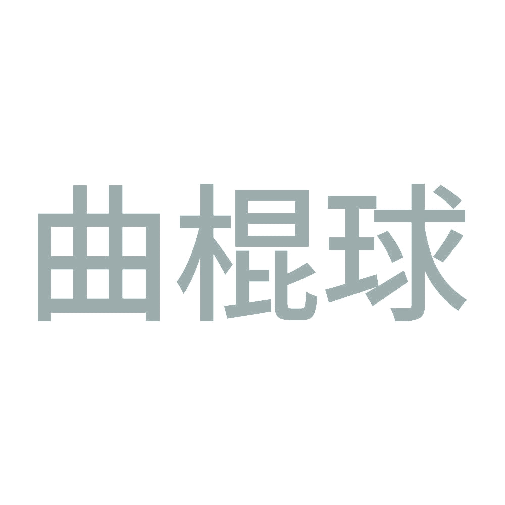 曲棍球 10