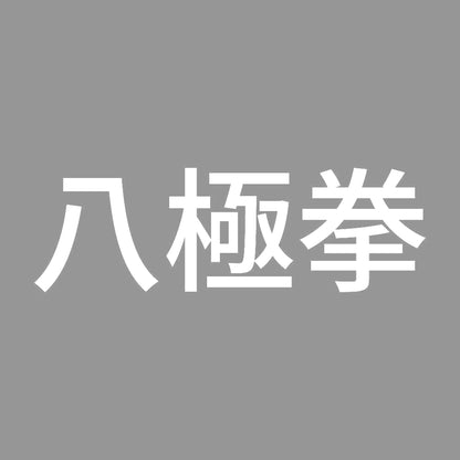 八極拳 7