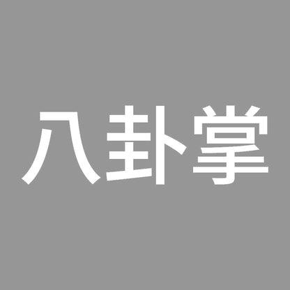 八卦掌 7