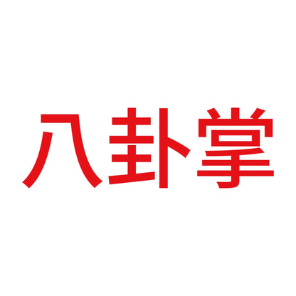 八卦掌 8