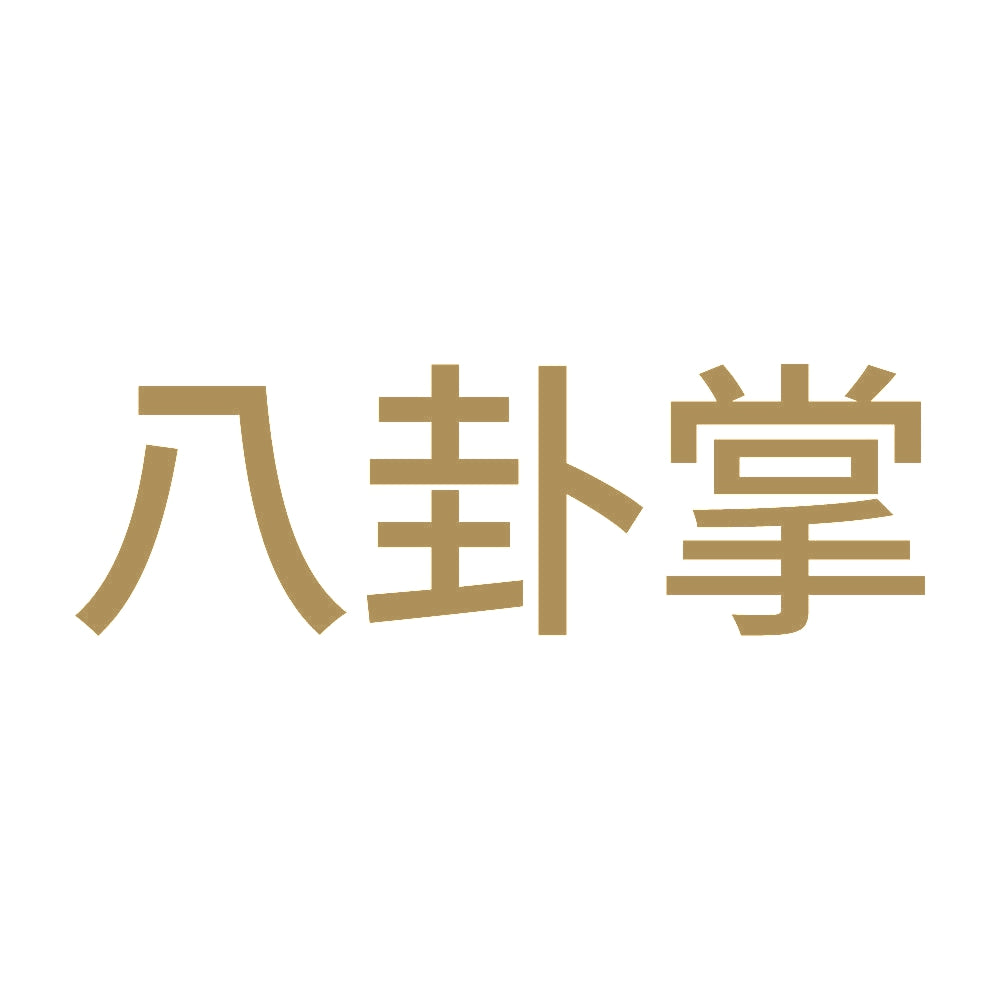 八卦掌 9