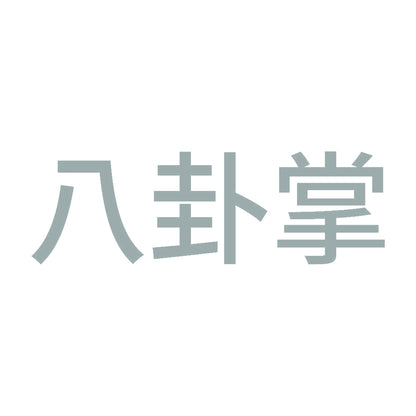 八卦掌 10