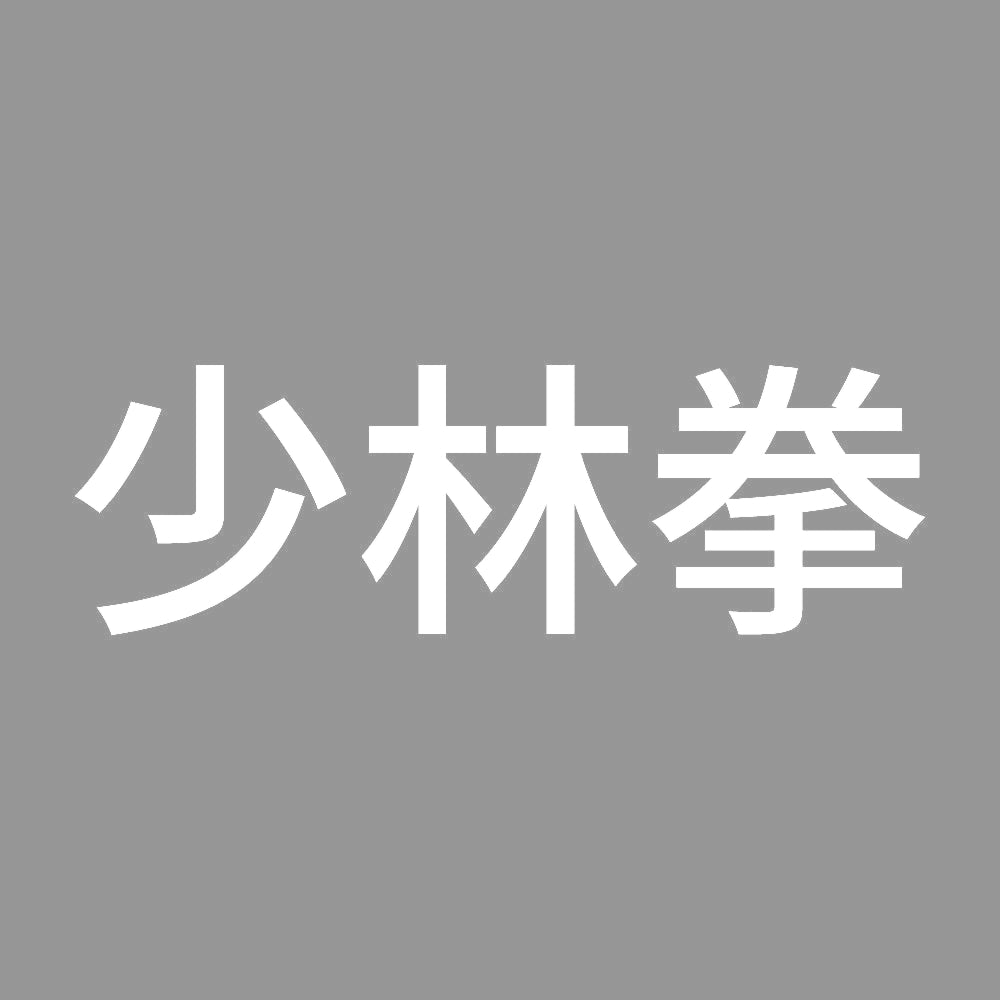少林拳 7