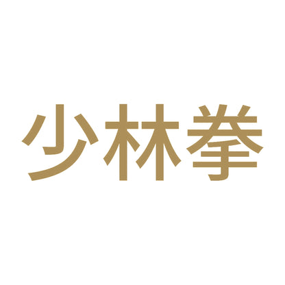 少林拳 9