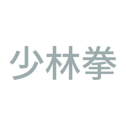少林拳 10