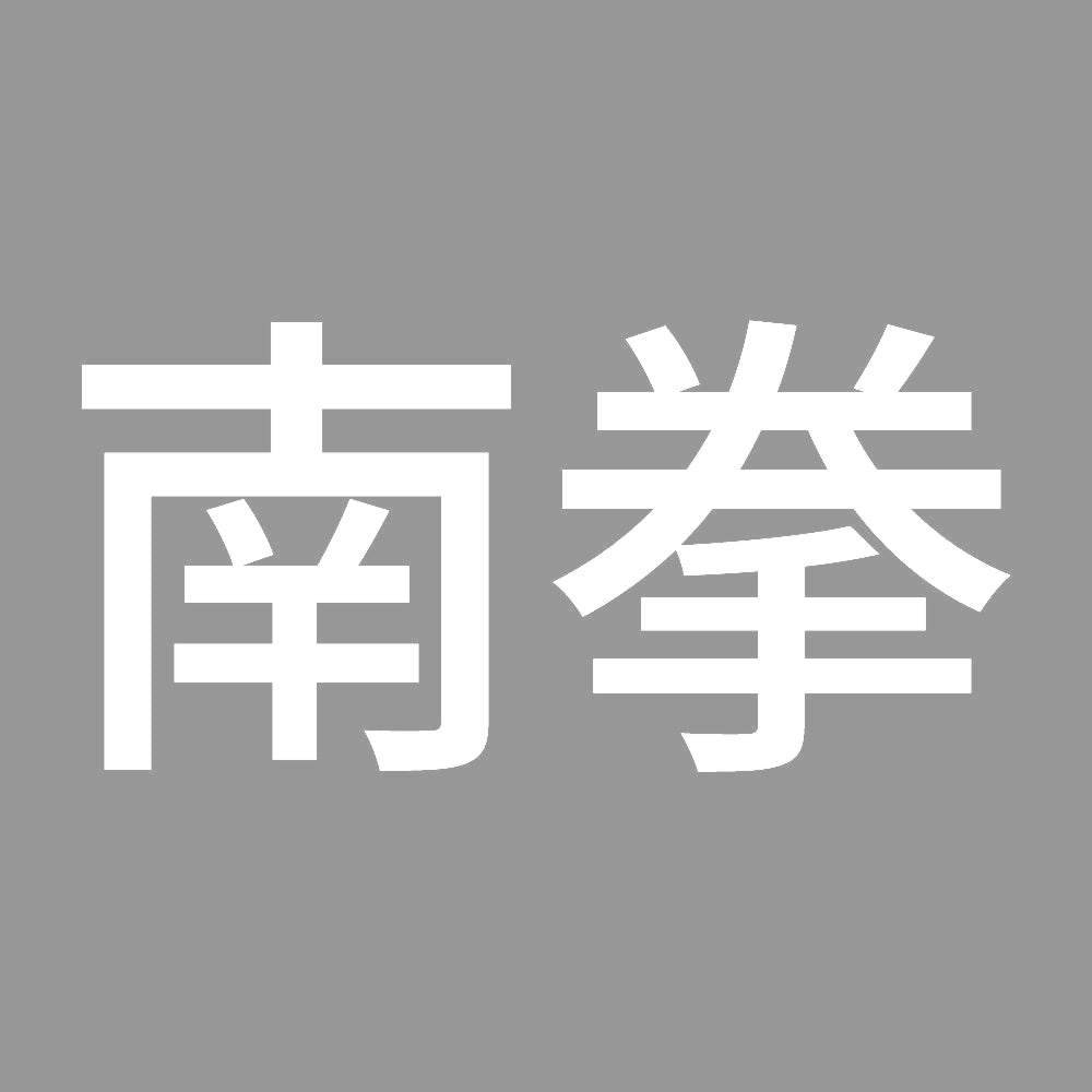 南拳 7