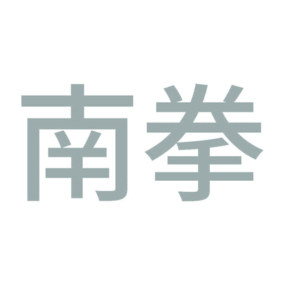 南拳 10