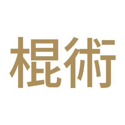棍術 9