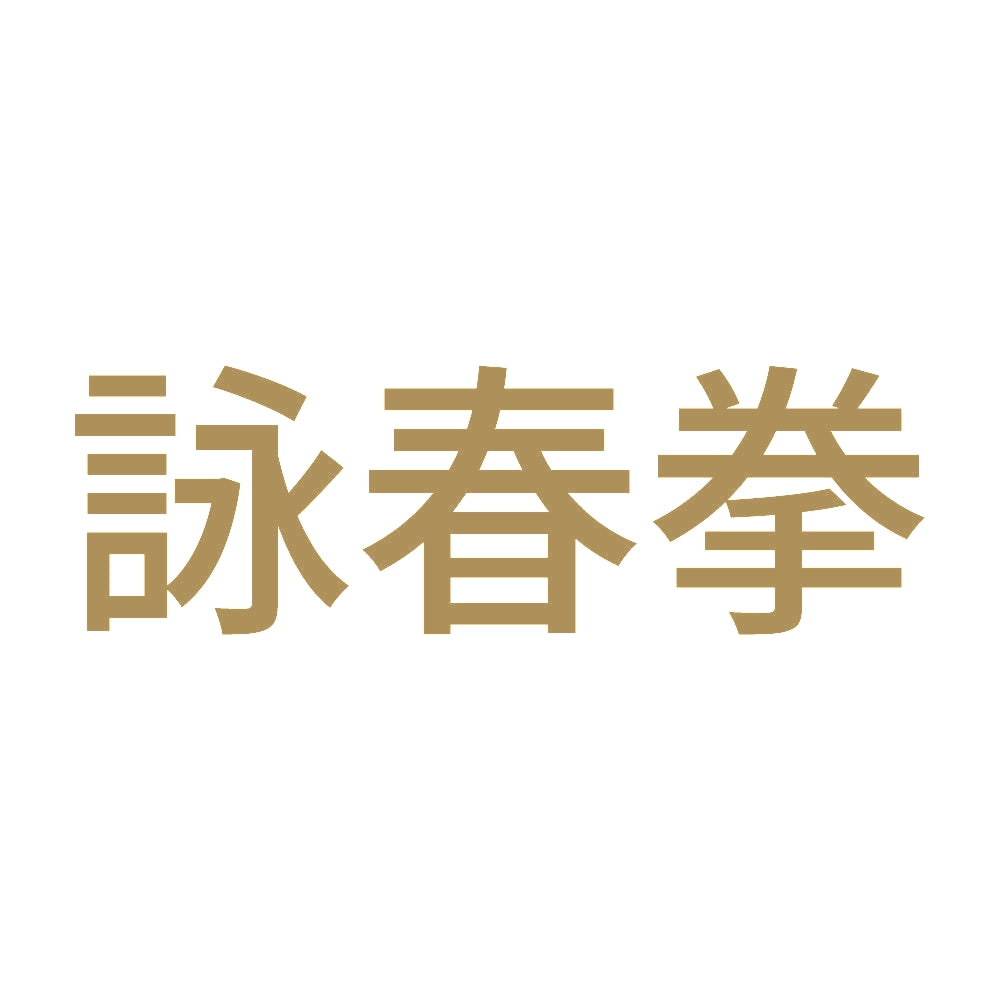 詠春拳 9