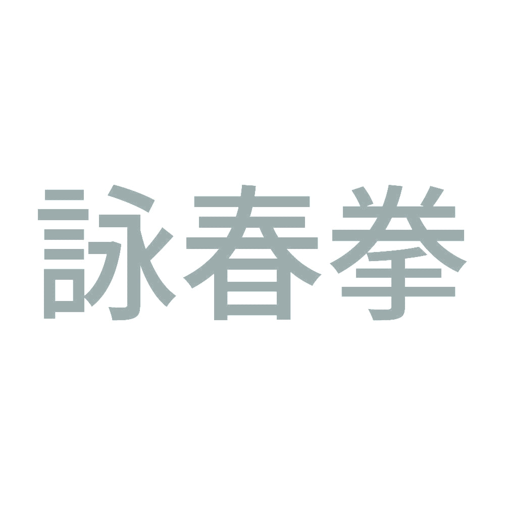 詠春拳 10