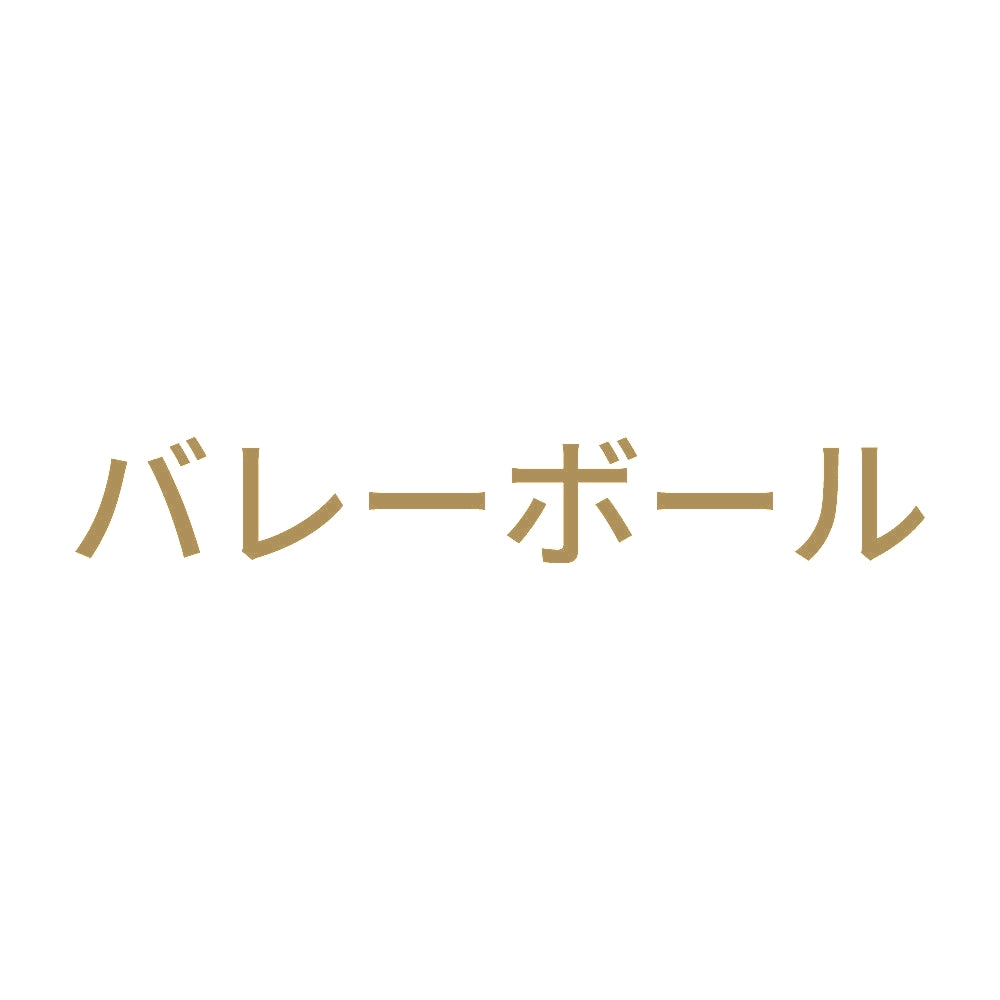 バレーボール 9