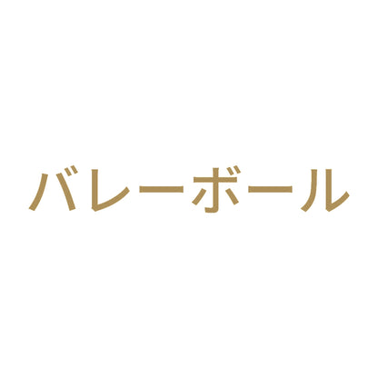 バレーボール 9
