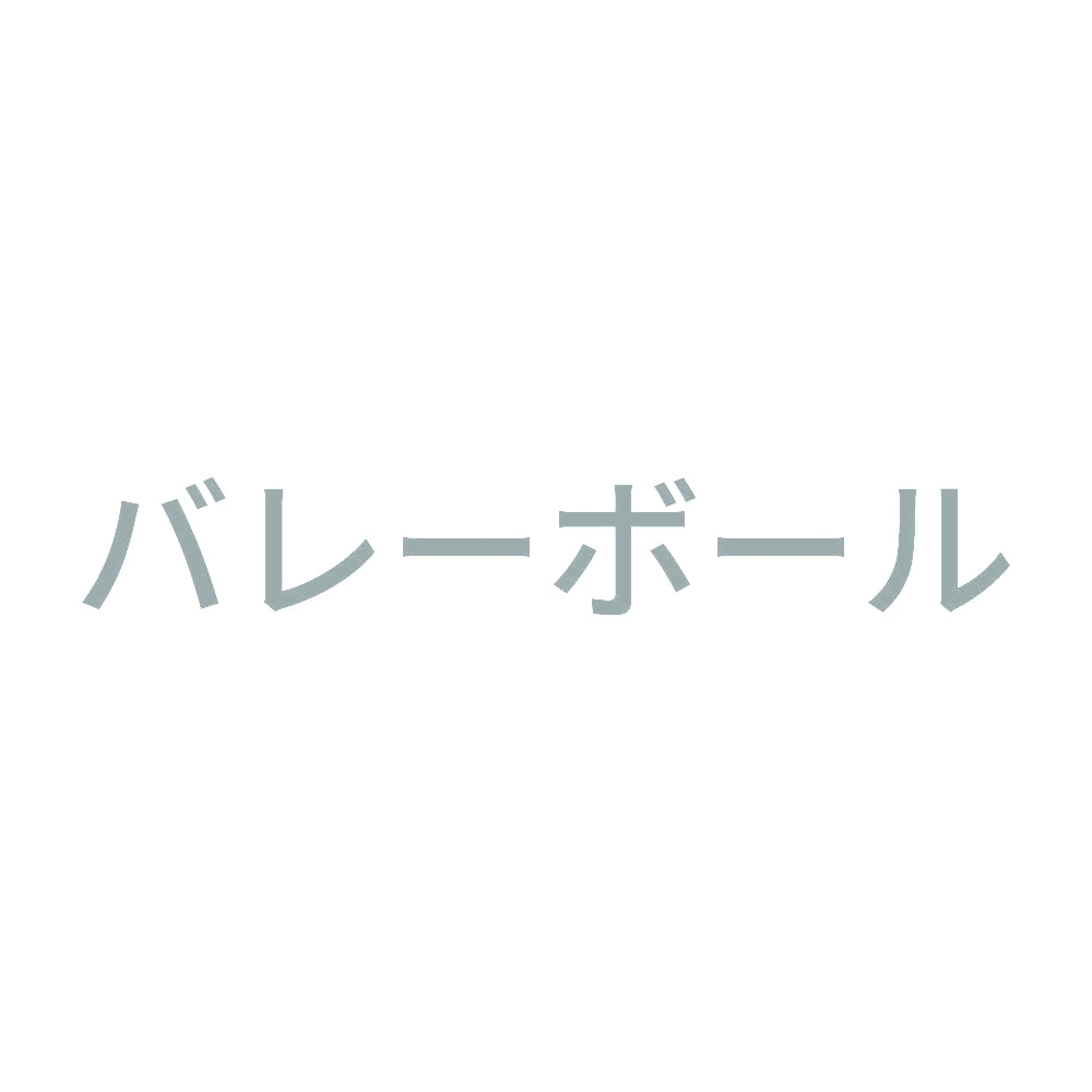 バレーボール 10