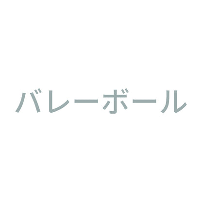 バレーボール 10