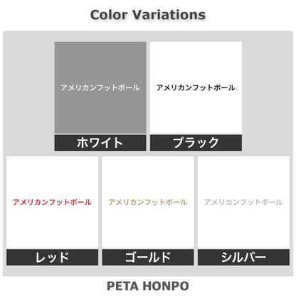 アメリカンフットボール 2
