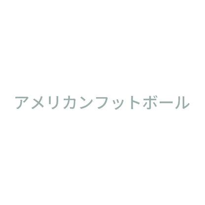 アメリカンフットボール 10