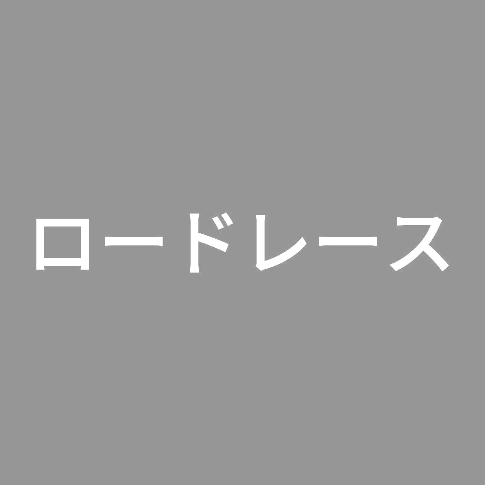 ロードレース 7