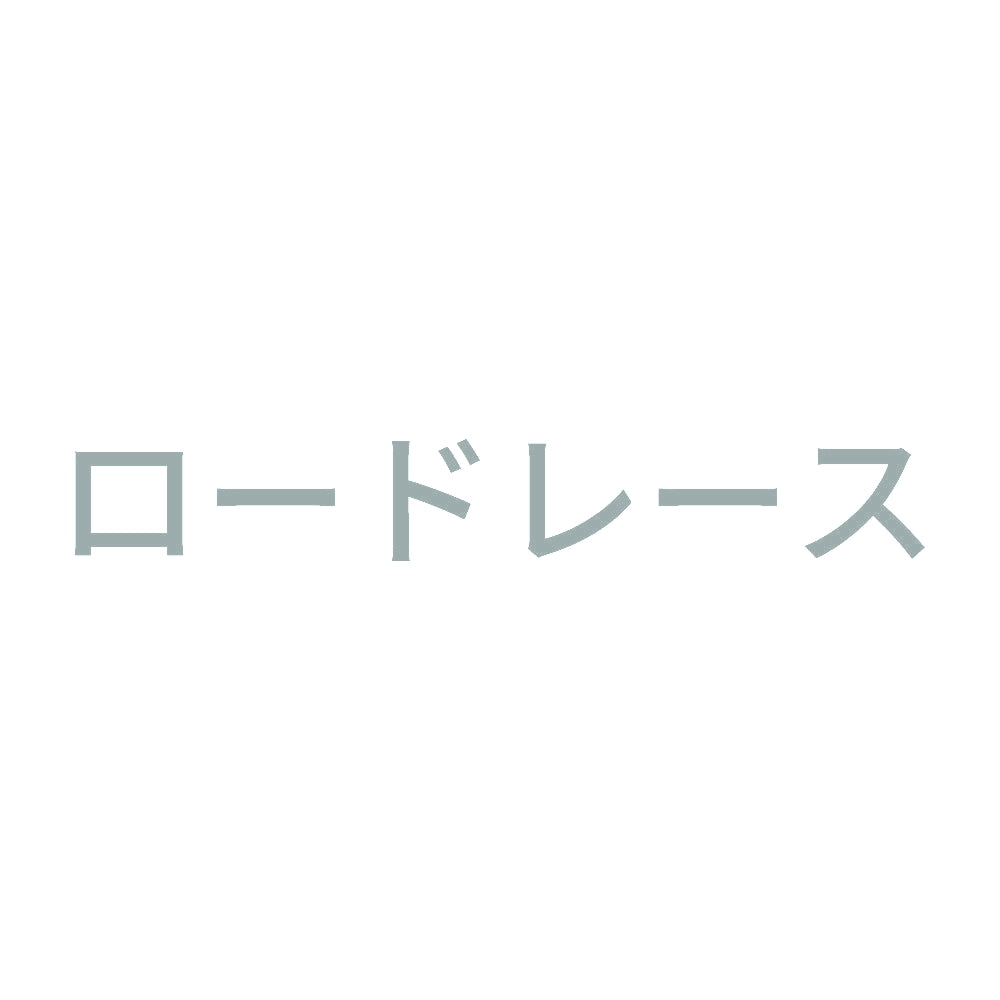 ロードレース 10