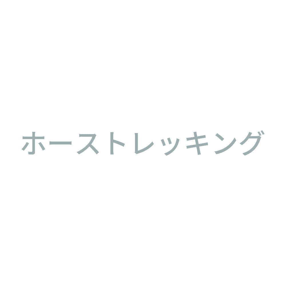 ホーストレッキング 10