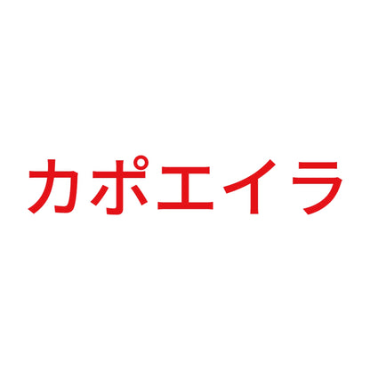 カポエイラ 8
