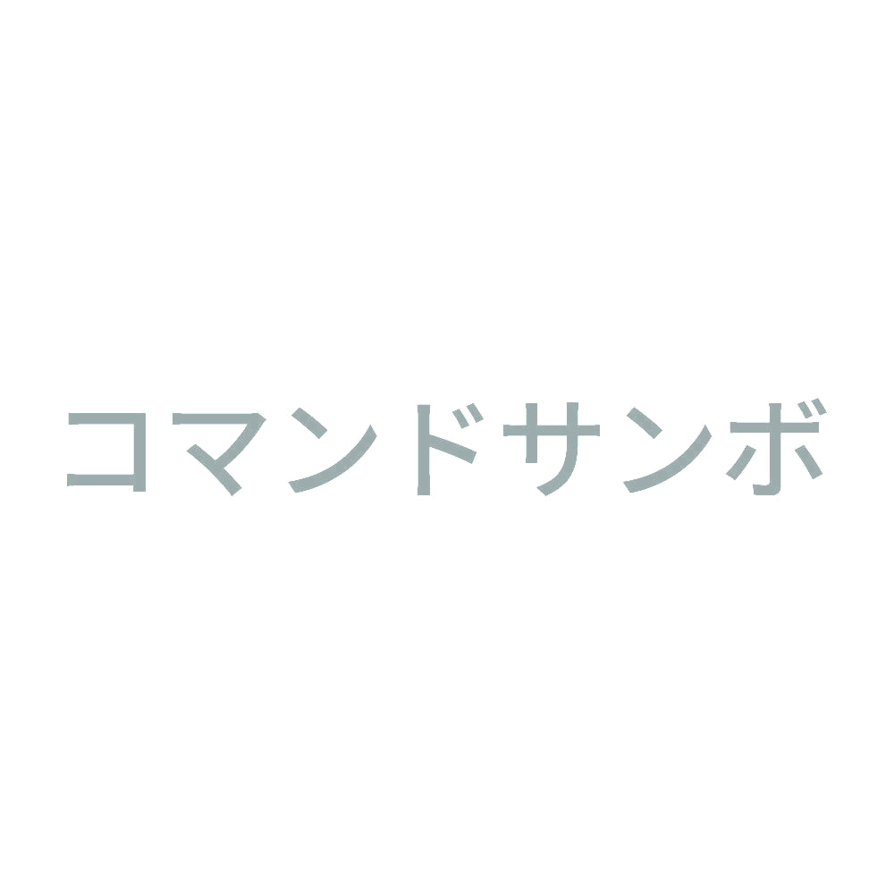 コマンドサンボ 10