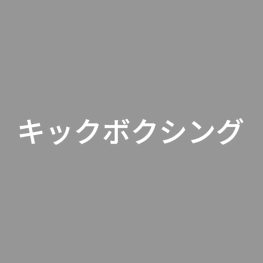 キックボクシング 7