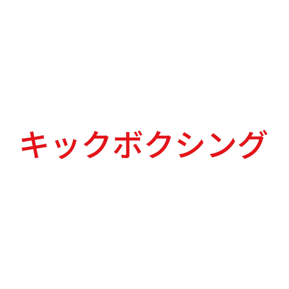 キックボクシング 8