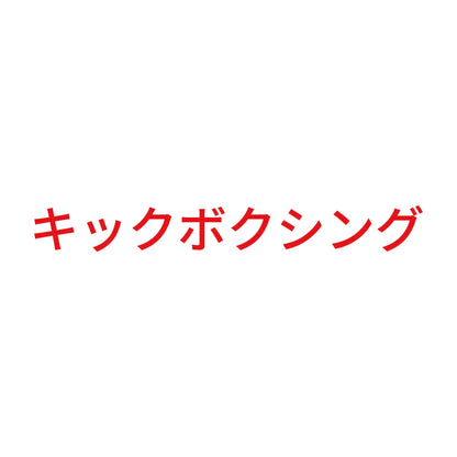 キックボクシング 8