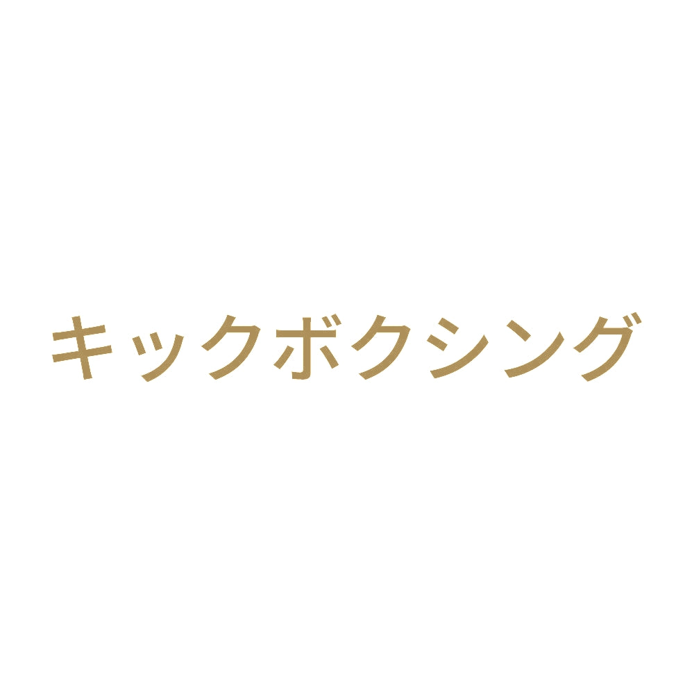 キックボクシング 9
