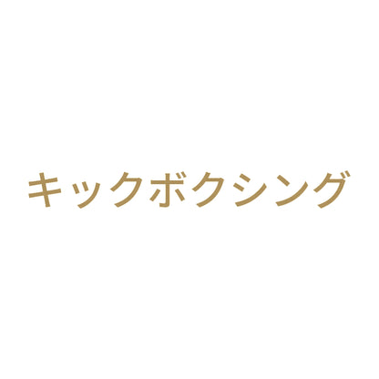 キックボクシング 9