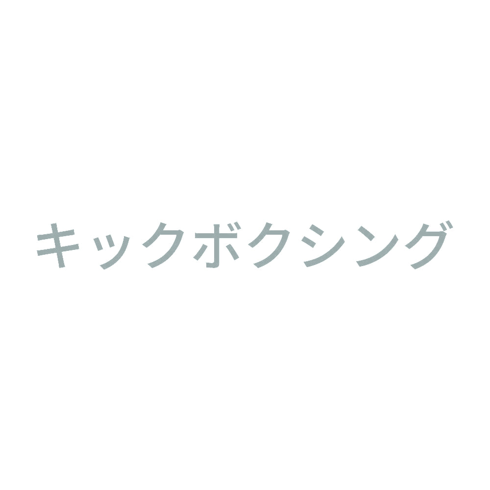 キックボクシング 10