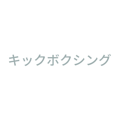 キックボクシング 10