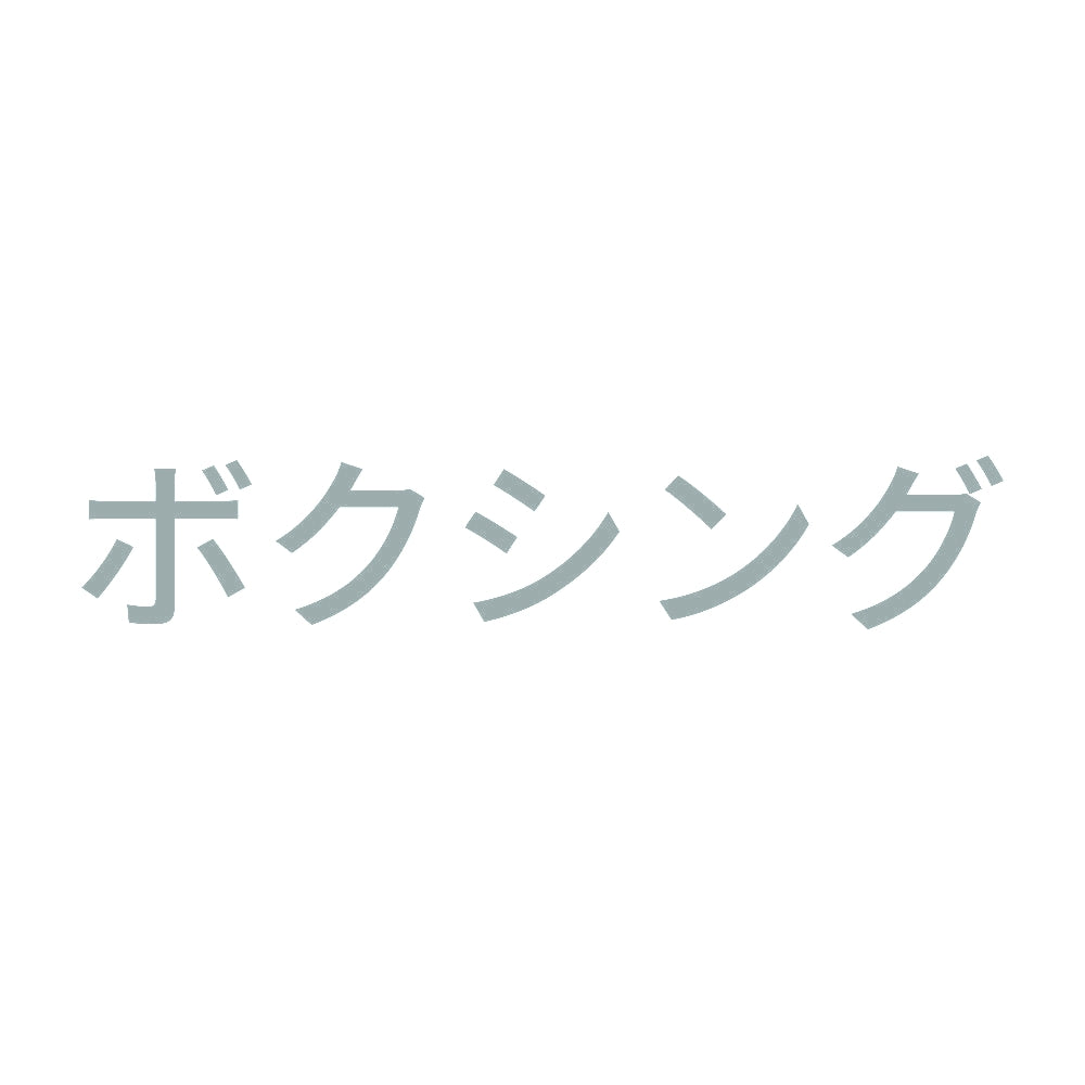 ボクシング 10