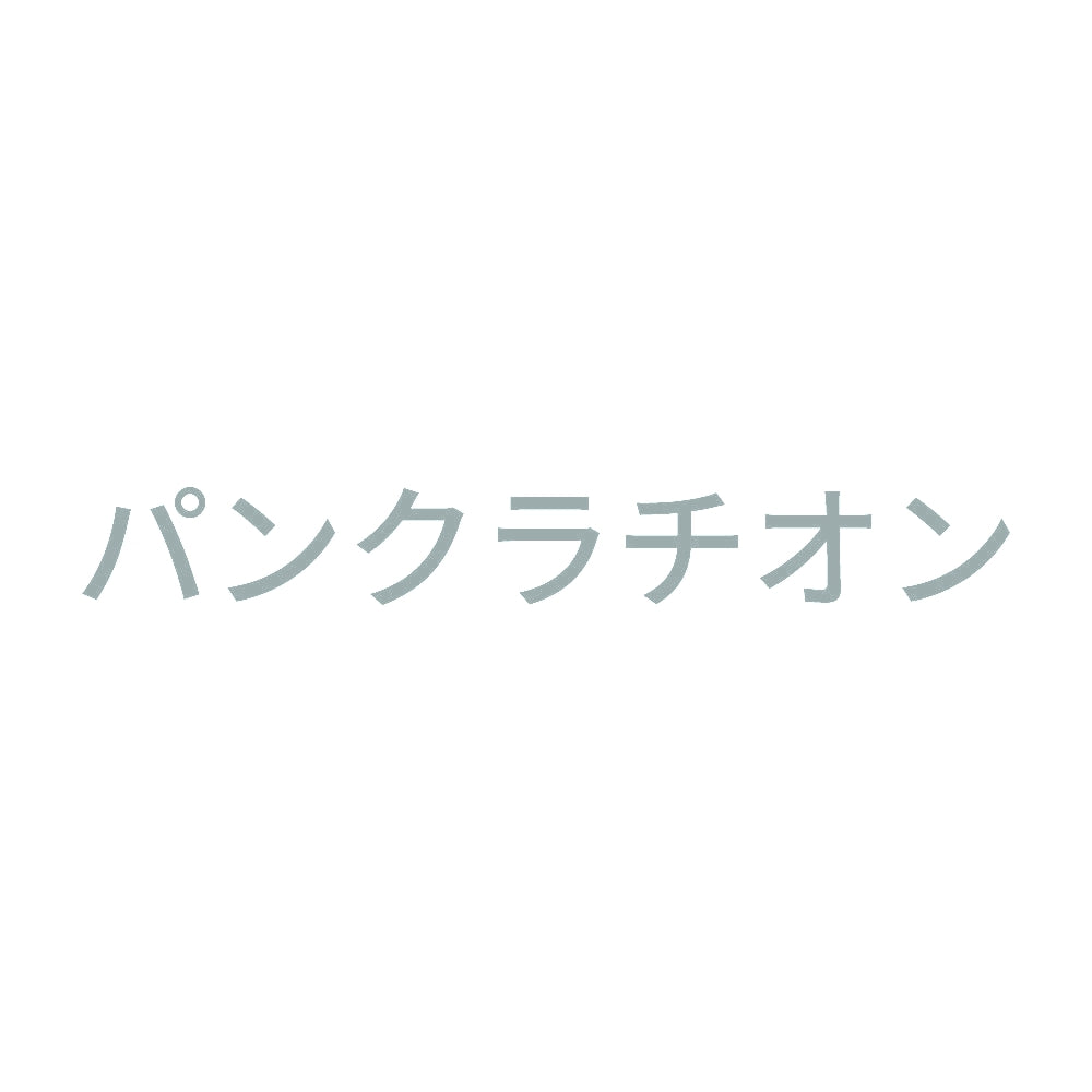 パンクラチオン 10