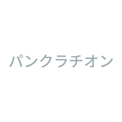 パンクラチオン 10