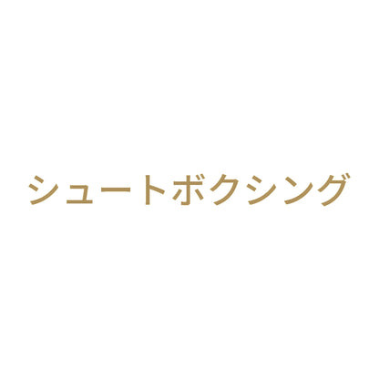 シュートボクシング 9