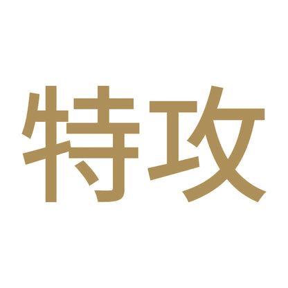 特攻 9