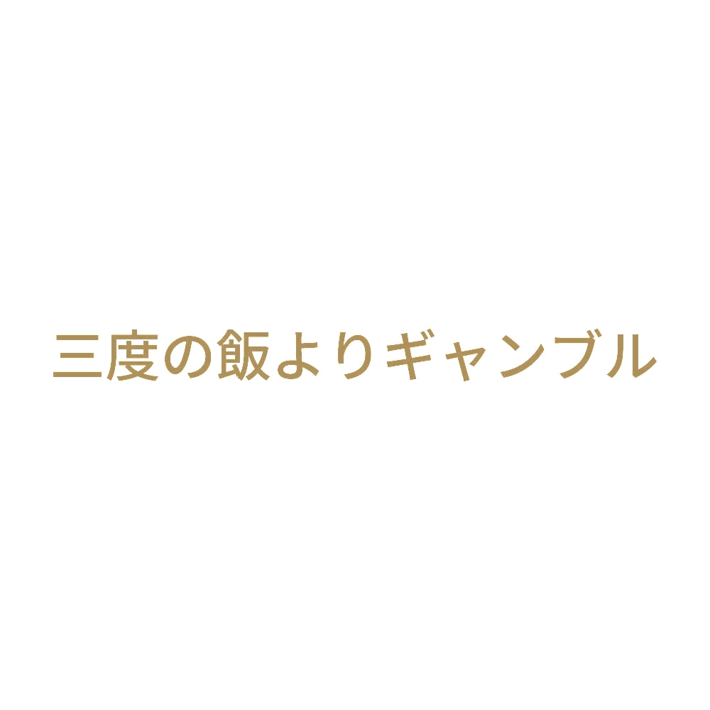 三度の飯よりギャンブル 9