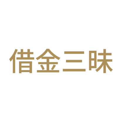 借金三昧 9