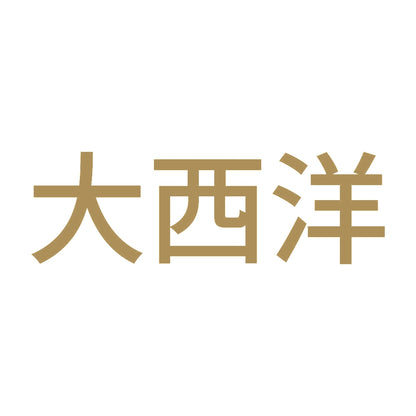 大西洋 9