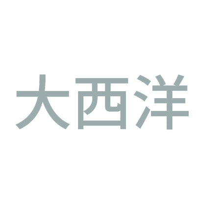 大西洋 10