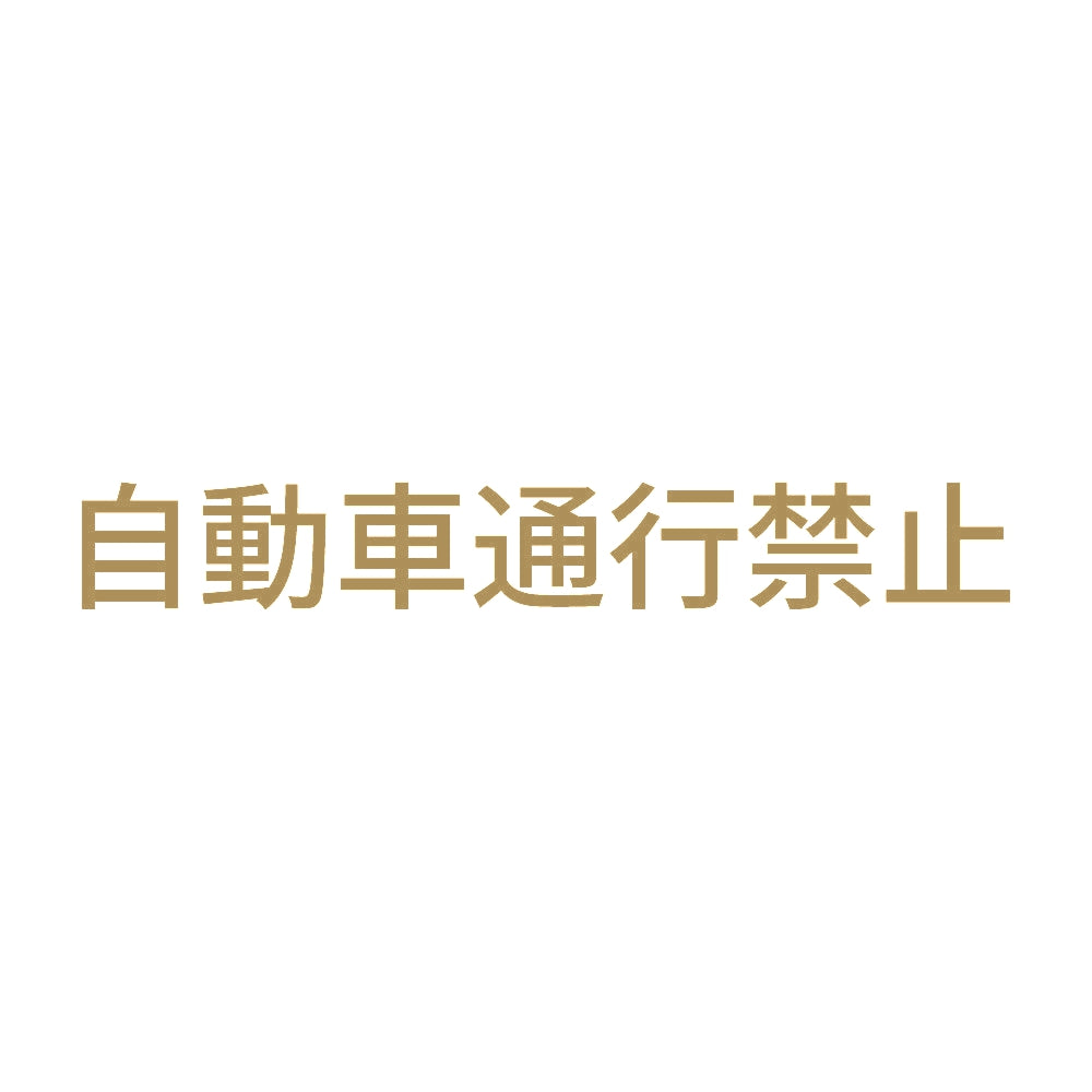 自動車通行禁止 9