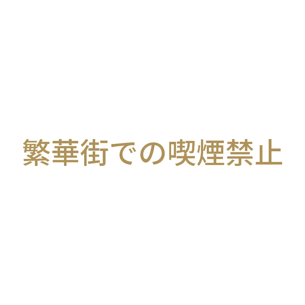 繁華街での喫煙禁止 9
