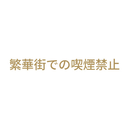 繁華街での喫煙禁止 9