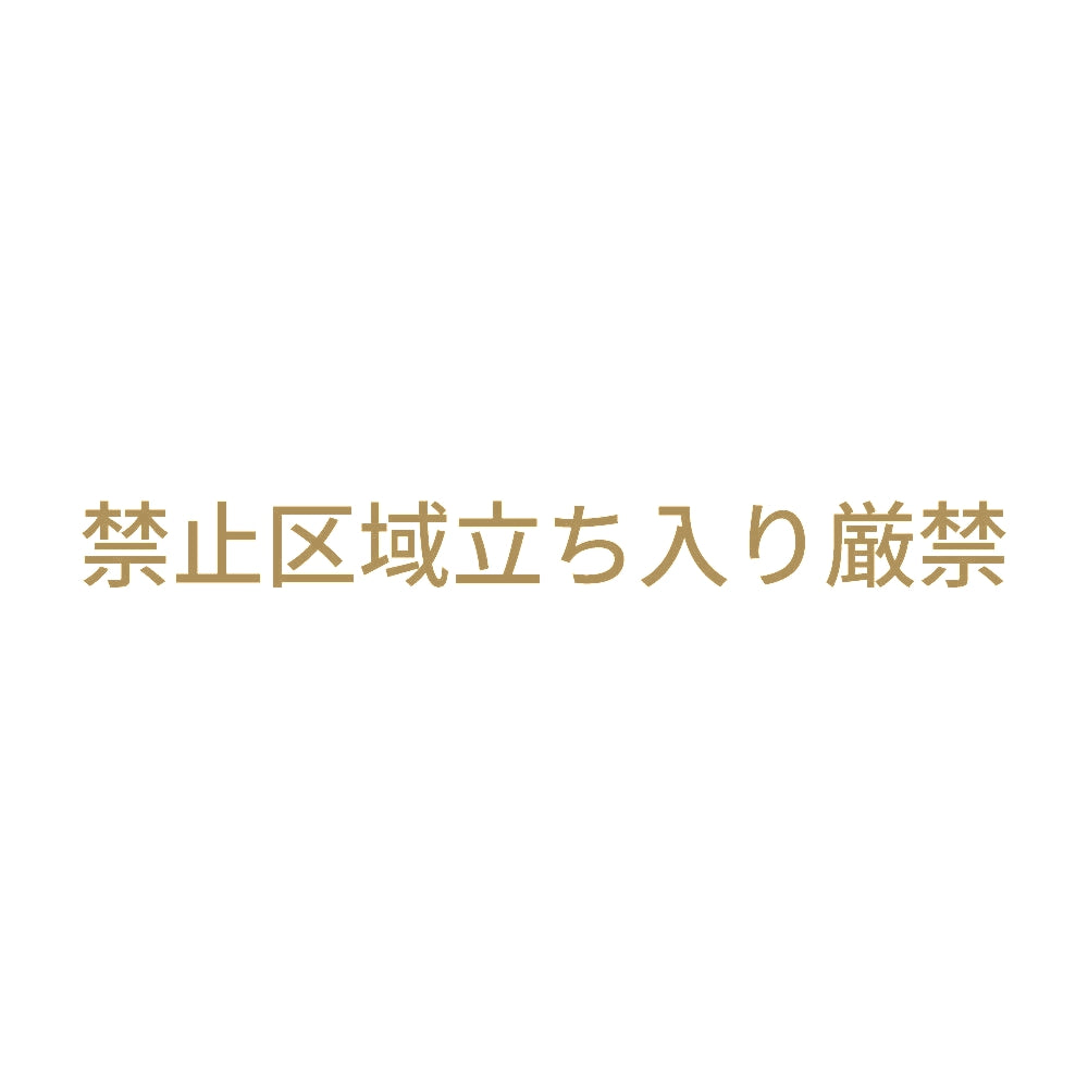 禁止区域立ち入り厳禁 9