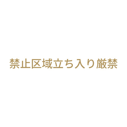 禁止区域立ち入り厳禁 9